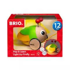 Play & Learn Light Up Firefly - image 1 - Click to Zoom