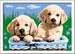 Cute Puppies Art & Crafts;CreArt Kids - Thumbnail 2 - Ravensburger