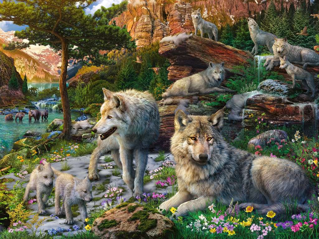 Wolves in Spring, Adult Puzzles, Jigsaw Puzzles