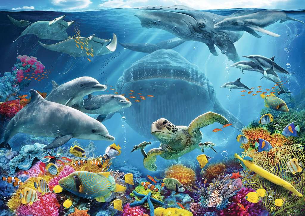 Life Underwater, Adult Puzzles, Jigsaw Puzzles, Products