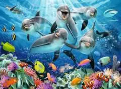 Dolphins in the Coral Reef - image 2 - Click to Zoom