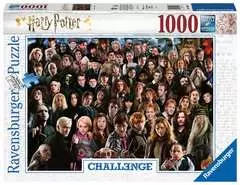 Harry Potter Challenge - image 1 - Click to Zoom