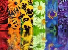 Floral Reflections - image 2 - Click to Zoom