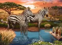 Zebra - image 2 - Click to Zoom