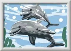 Pod of Dolphins - image 3 - Click to Zoom