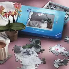 Ravensburger Photo Puzzle in a Box - 100 pieces - image 4 - Click to Zoom