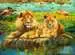 Lions in the Savanna Jigsaw Puzzles;Adult Puzzles - Thumbnail 2 - Ravensburger