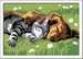 Sleeping Cat and Dog Art & Crafts;CreArt Kids - Thumbnail 2 - Ravensburger