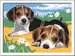 Jack Russel Puppies Art & Crafts;CreArt Kids - Thumbnail 2 - Ravensburger